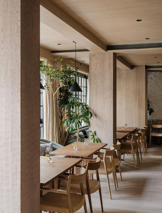 Камень, дерево, оливы: средиземноморский ресторан Gaga Coast в Шанхае