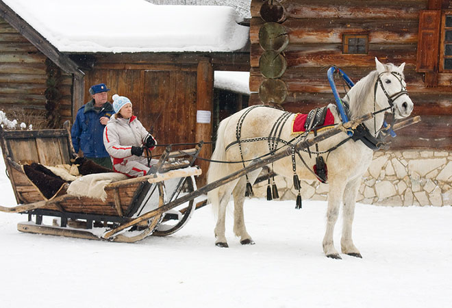 Скайрим перемещение на повозке