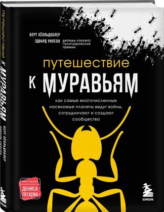 Муравьиный бестиарий: эти насекомые поражают воображение ученых