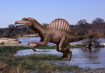 Не различали запахи и плохо слышали: как 125 млн лет назад жилось спинозаврам, которые сменили сушу на воду