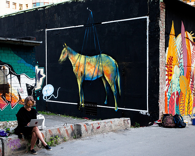 Картина «Лошадь в телевизоре», фестиваль «Стенограффия», фото