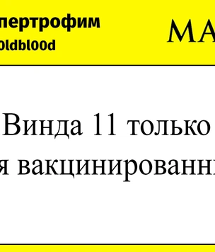 «Краденая версия работает стабильно»: шутки и мемы о новой Windows 11