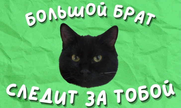Вот это да! Зверский стикерпак MAXIM в VIBER | maximonline.ru