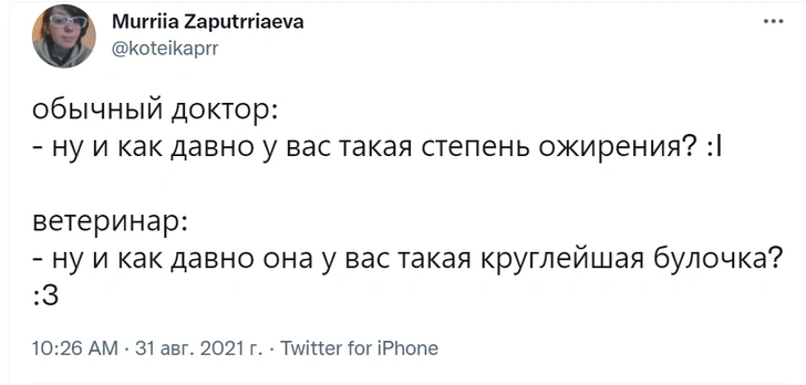 Шутки вторника и опустевшие вузы