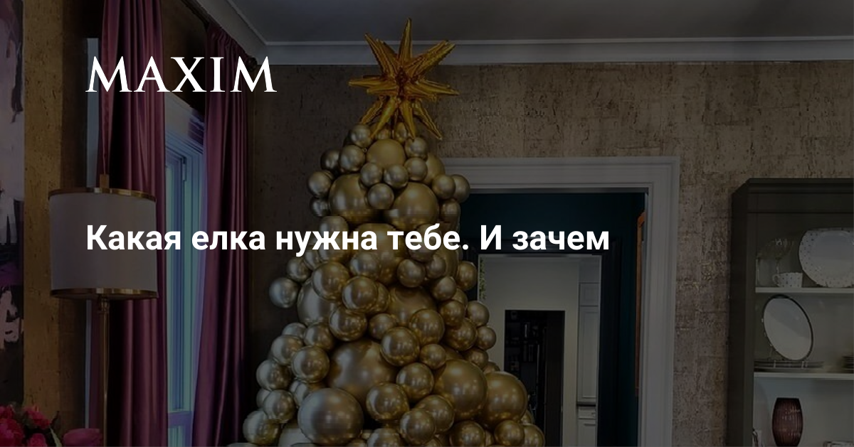 Какую елку выбрать и как правильно выбирать елку | MAXIM