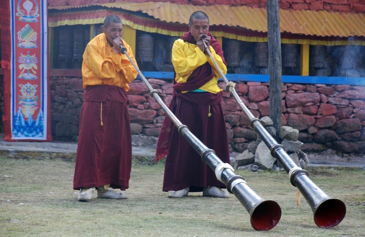 Источник: ANDREW WRIGHTING / Alamy / Legion-Media