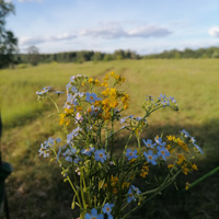 Аватарка Ксюша