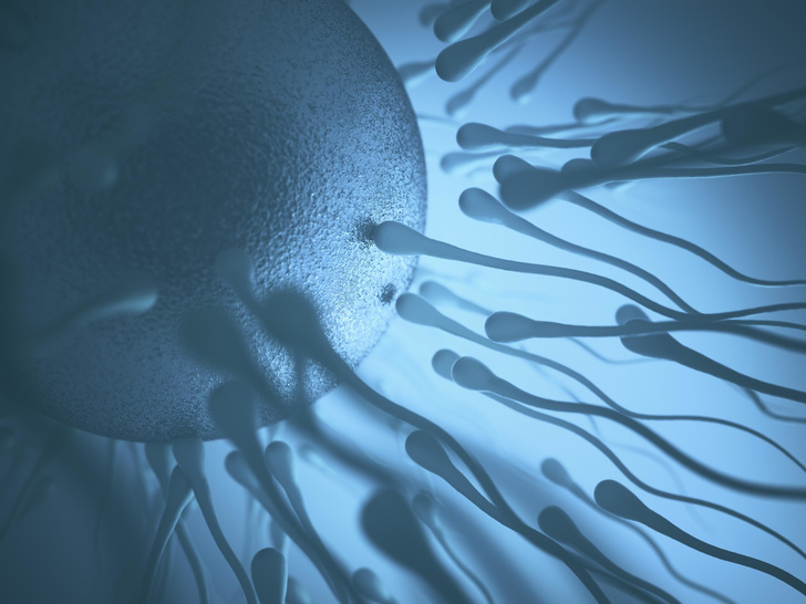 Родить для себя: что нужно знать о донорстве спермы (и с какими рисками вы можете столкнуться)
