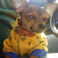 Аватарка Людмила Прохорова