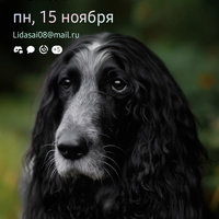 Аватарка Клеопатра