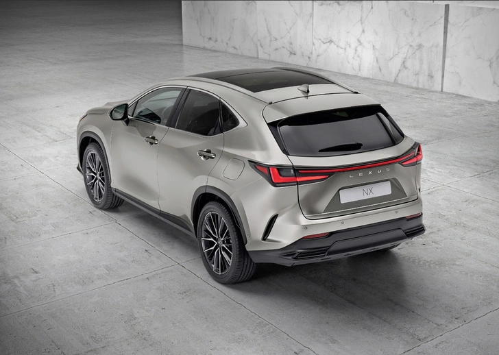 Скакун на склоне Фудзи: тест-драйв Lexus NX