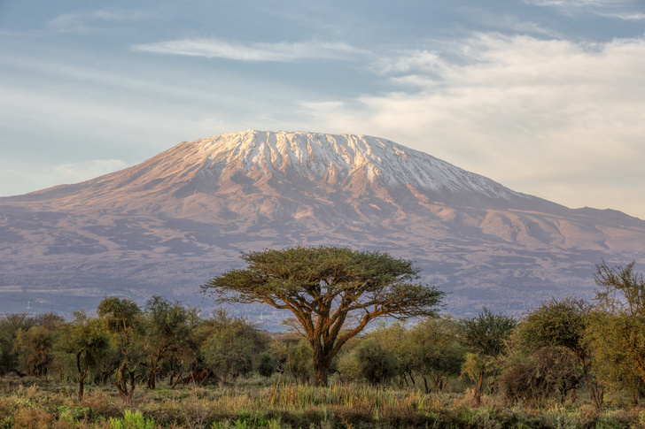 Килиманджаро, рекорды