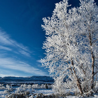 Аватарка Автор