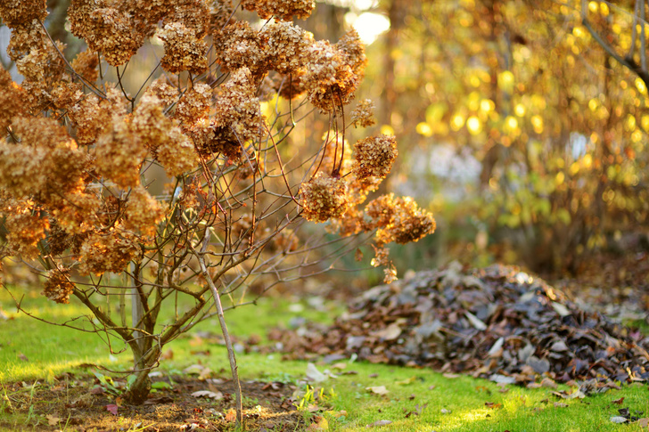 Осенние поделки в садик из листьев
