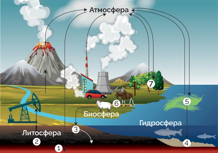 Пластиковая планета: как отходы помогают в борьбе с глобальным потеплением