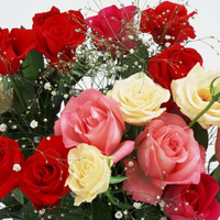 Аватарка nastya