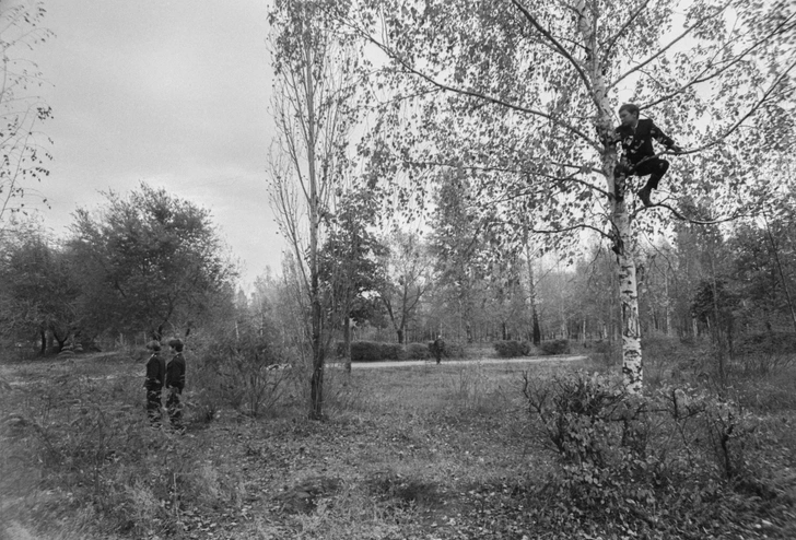 Сигарообразный объект, огонь над Курилами и примятая трава: 5 случаев появления НЛО в России