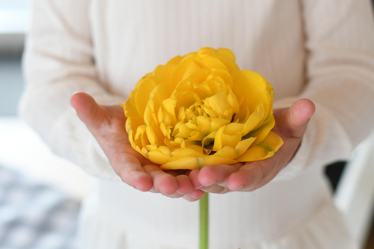 Желтые цветы — символ расставания? Значение цвета и суеверия