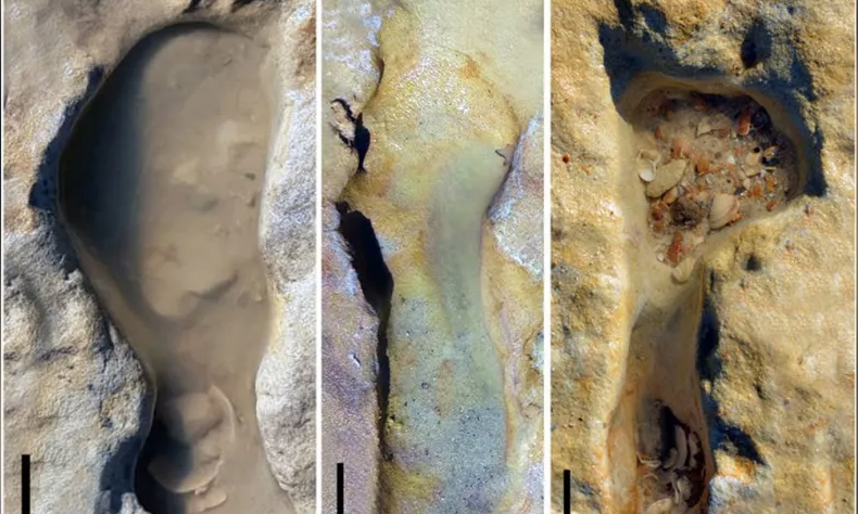 Обнаружены самые старые следы неандертальцев в Европе