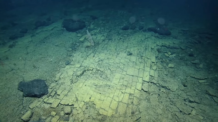 «Дорога в Атлантиду»: ученые объяснили, откуда на дне Тихого океана взялась «брусчатка»