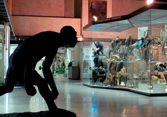 Музей эволюции, или Консервация прогресса
