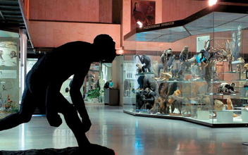 Музей эволюции, или Консервация прогресса