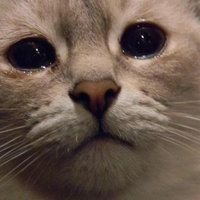 Аватарка Esfir&lsquo;