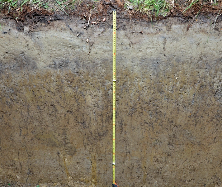 Дерново-подзолистая почва | Источник: С. Лойко