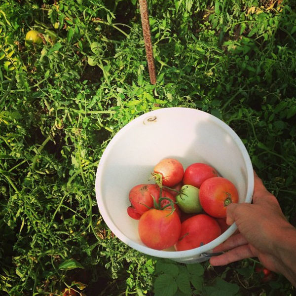 «Моя вторая работа собирать помидоры на огороде у бабушки», - пошутила Ирина