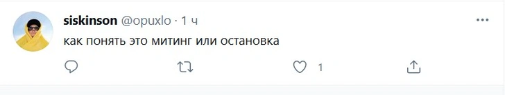 Лучшие шутки неунывающих участников митинга в поддержку Навального