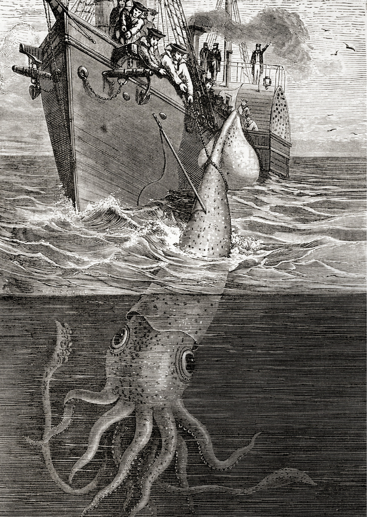 kraken актуальные