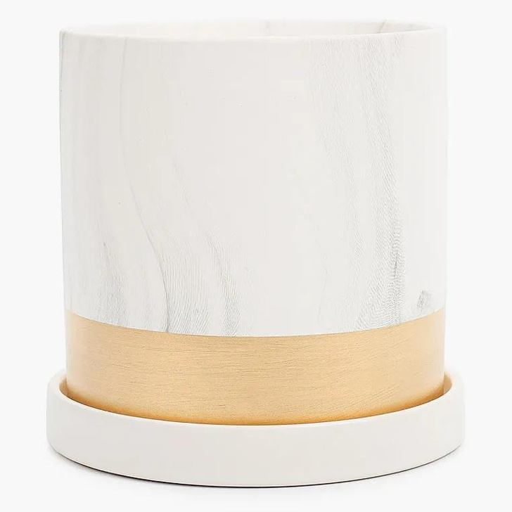 Как растения очищают воздух в спальне