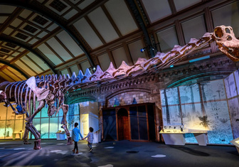 В Лондоне открывается выставка, посвященная титанозаврам