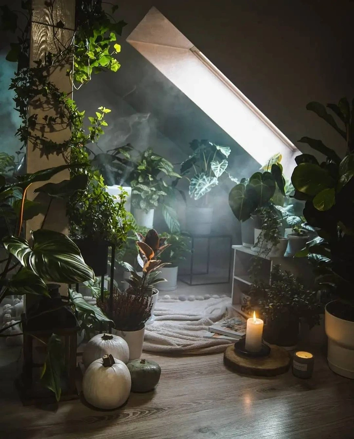 Источник: urbanjungleblog