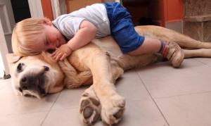 Вредные поцелуи: почему собаке нельзя облизывать ребенка