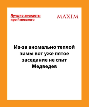 Лучшие анекдоты месяца и четыре белочки апокалипсиса