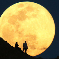 Аватарка Ksenya668