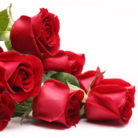 Аватарка Дарья Писарева