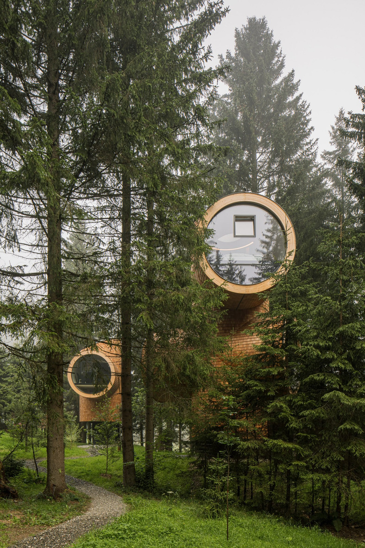 Дома-деревья в австрийском лесу