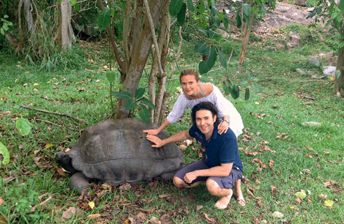 На Сейшелах действует специальная программа по усыновлению младенцев… черепах