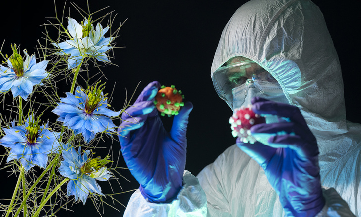 Ученые обнаружили новое средство от коронавируса, и это цветок