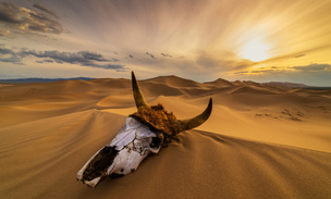 Песок и лед: посмотрите на 7 крупнейших пустынь мира