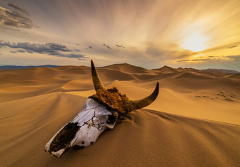 В сердце пустоты: 5 крупнейших пустынь мира