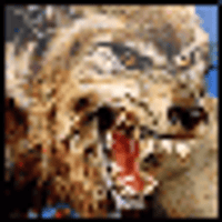 Аватарка reցir