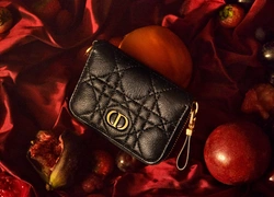 Практично и стильно: как выглядит новая линейка аксессуаров Dior Caro Line