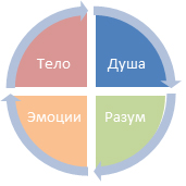 День сурка: где найти время на радость, когда нет времени даже на душ