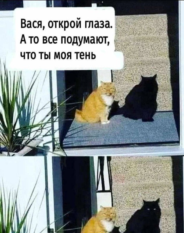 Как-то так...:-) Как-то так...:-)