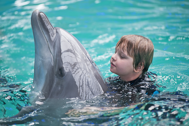 Дельфинотерапия и еще 6 методик, которые не помогут ребенку с аутизмом