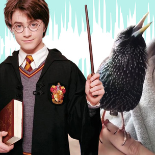 Видео дня: ручной скворец насвистывает главную тему из фильмов про Гарри Поттера