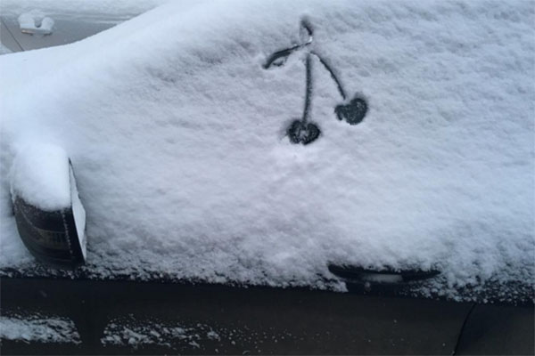 Таня Терешина сразу поняла, что нужно делать с машиной, занесенной снегом